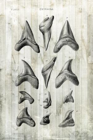 Premium Giclee Print, , small