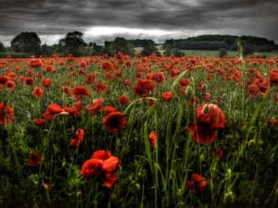 Photographic Print, , small