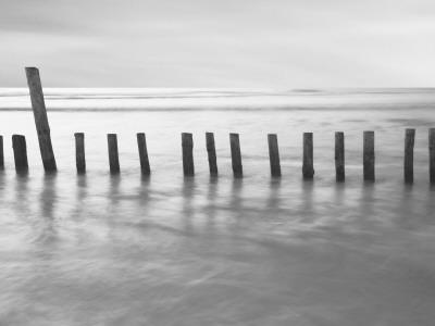 Photographic Print, , small