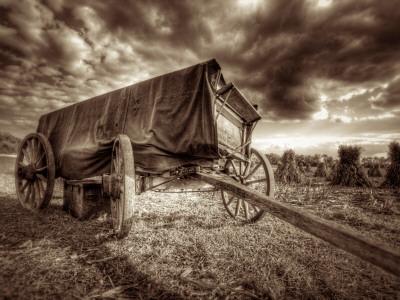 Photographic Print, , small