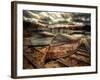 Sweet Dreams-Stephen Arens-Framed Photographic Print