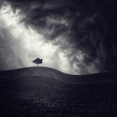 Photographic Print, , small