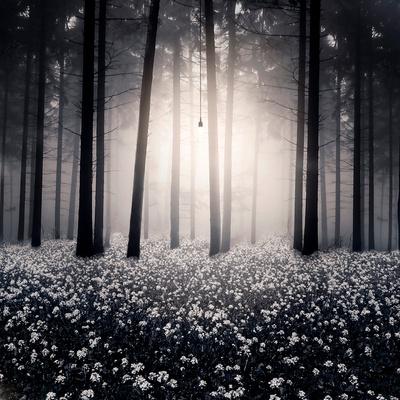 Photographic Print, , small