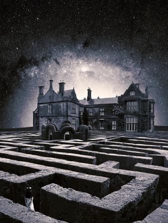 Photographic Print, , small