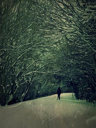 Photographic Print, , small