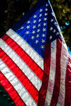 Photographic Print, , small