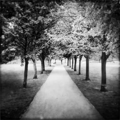 Photographic Print, , small