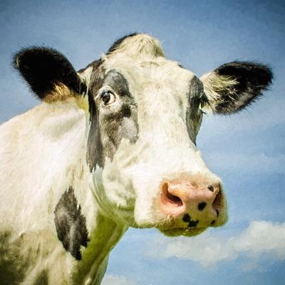 Photographic Print, , small