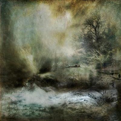 Photographic Print, , small