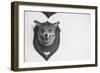 Stuffed Fox Head-Clive Nolan-Framed Photographic Print