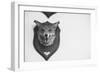 Stuffed Fox Head-Clive Nolan-Framed Photographic Print