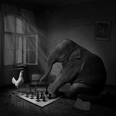 Photographic Print, , small