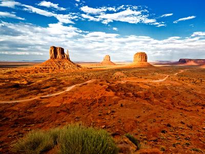 Photographic Print, , small