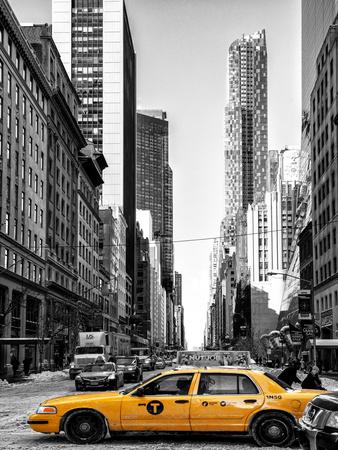 Photographic Print, , small