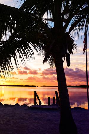 Photographic Print, , small