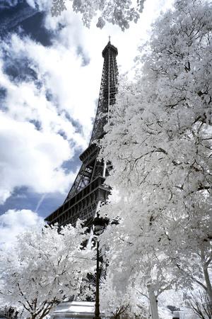 Photographic Print, , small