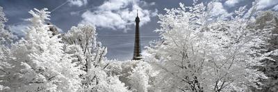 Photographic Print, , small