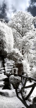 Photographic Print, , small