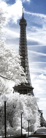 Photographic Print, , small