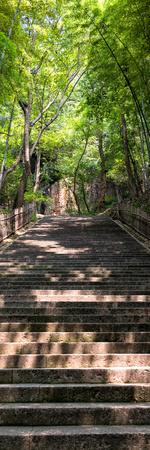 Photographic Print, , small