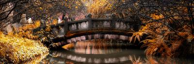 Photographic Print, , small