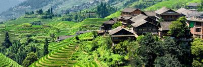 Photographic Print, , small