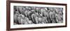 China 10MKm2 Collection - Terracotta Army-Philippe Hugonnard-Framed Photographic Print