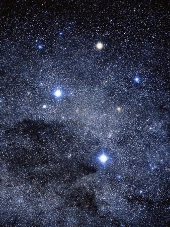 Photographic Print, , small