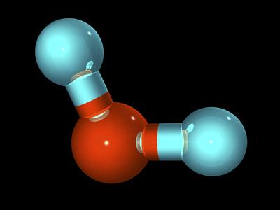 Photographic Print, , small