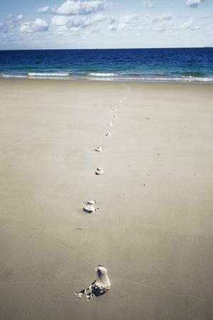 Photographic Print, , small