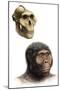 Australopithecus Boisei-Mauricio Anton-Mounted Photographic Print