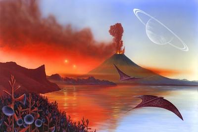 Photographic Print, , small