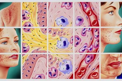 Photographic Print, , small