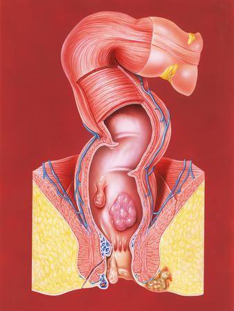 Photographic Print, , small