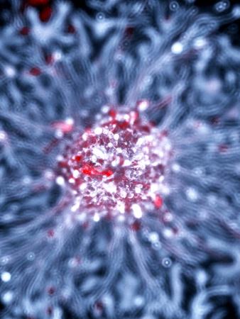 Photographic Print, , small