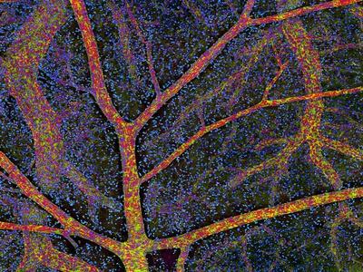 Photographic Print, , small