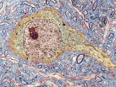 Photographic Print, , small