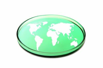 Photographic Print, , small