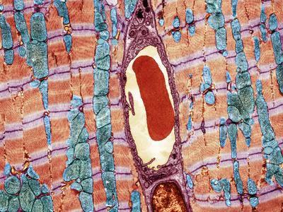 Photographic Print, , small