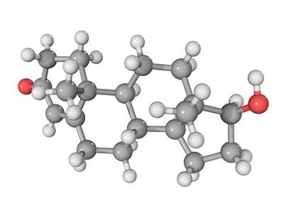 Photographic Print, , small