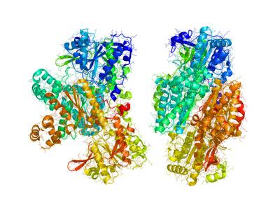 Photographic Print, , small