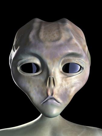 Photographic Print, , small