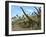 Brachiosaurus Dinosaurs-Roger Harris-Framed Photographic Print