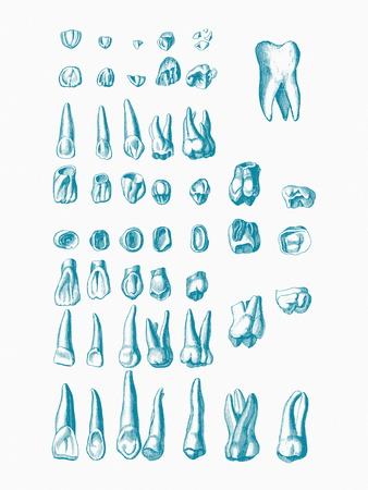 Photographic Print, , small