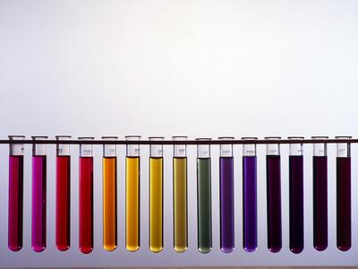 Photographic Print, , small