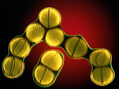 Photographic Print, , small