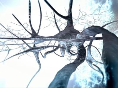 Photographic Print, , small