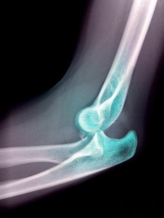 Photographic Print, , small