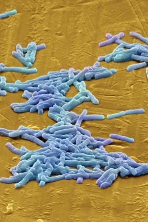 Photographic Print, , small