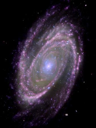 Photographic Print, , small